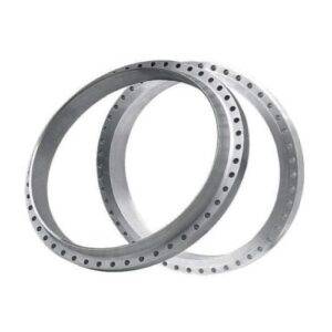 Industrial Big Size Flanges Manufacturer