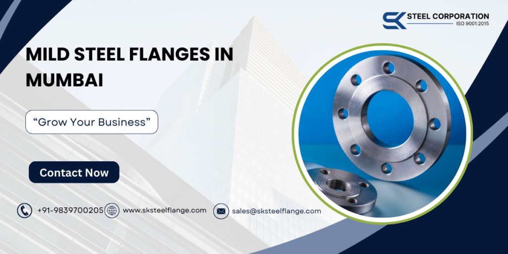 Mild Steel Flanges in Mumbai