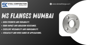 MS Flanges Mumbai