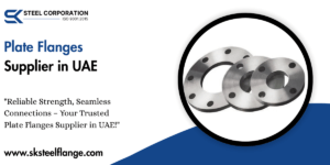 Plate Flanges Supplier in UAE