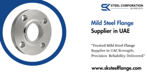 Mild Steel Flange Supplier in UAE