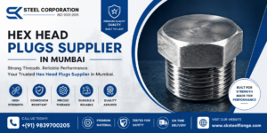Hex Head Plugs Supplier in Mumbai