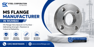 MS Flange Manufacturer in Mumbai
