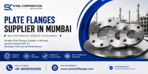 Plate Flanges Supplier in Mumbai