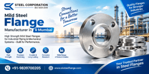Mild Steel Flange Manufacturer in Mumbai